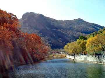 澳门天天彩期期精准平肖，板桥seo建站